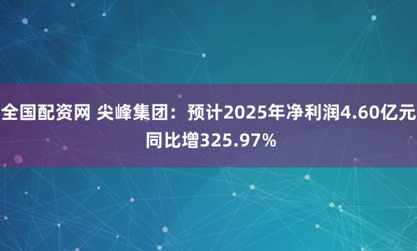 全国配资网 尖峰集团：预计2025年净利润4.60亿元 同比增325.97%