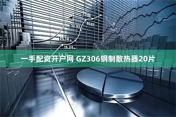 一手配资开户网 GZ306钢制散热器20片